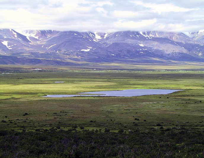 Vast open landscape of Beringia