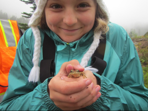 A girl holds a frog up in her clasped hands.