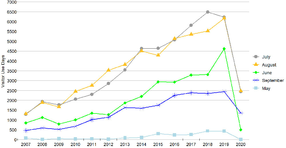 graph of visitors over time