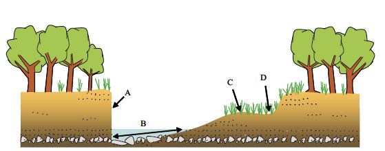 Figure 13 (description follows)