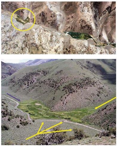 Figure 20 (description follows)