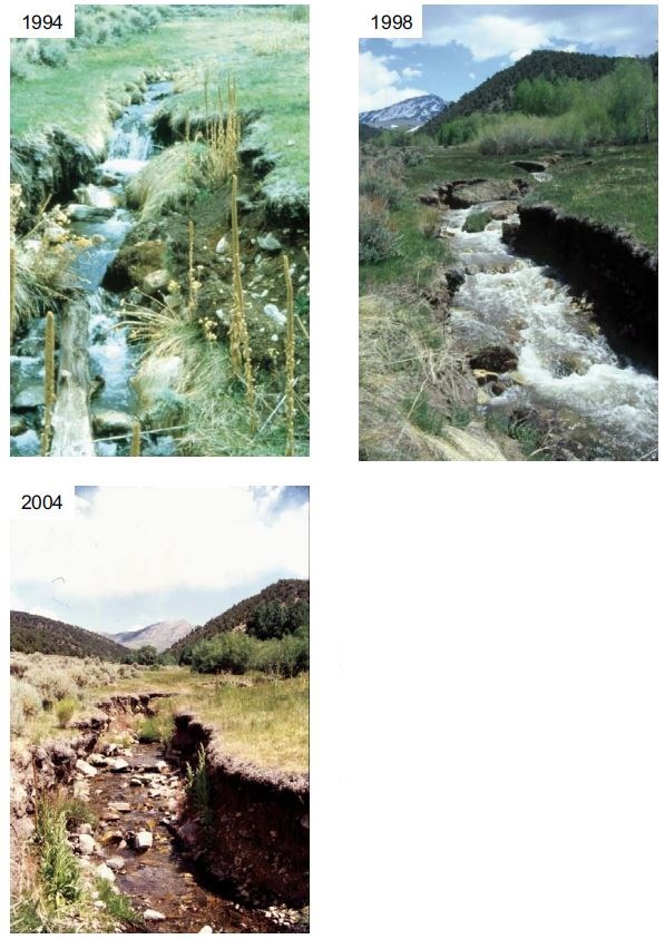 Figure 21 (description follows)