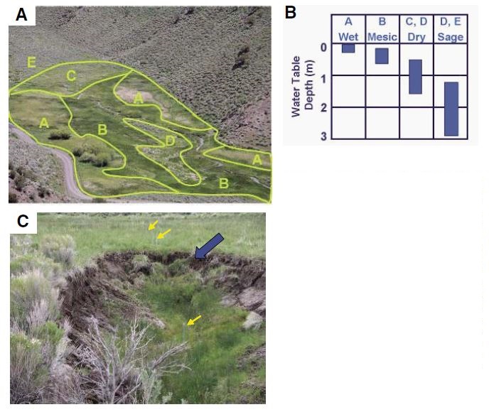 Figure 24 (description follows)