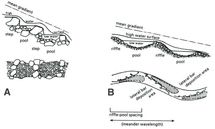 Figure 2 (description follows)