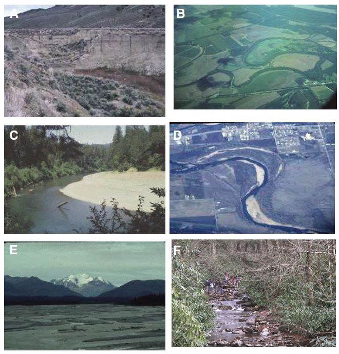 Figure 3 (description follows)