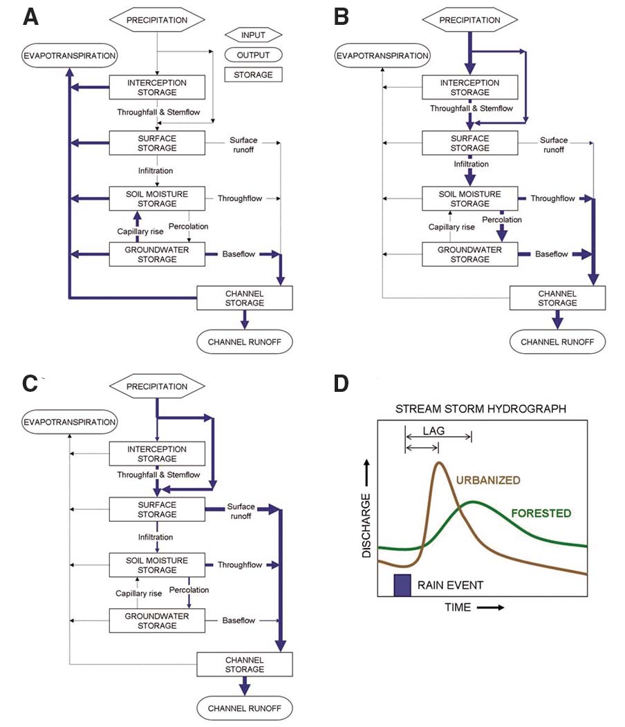 Figure 7 (description follows)