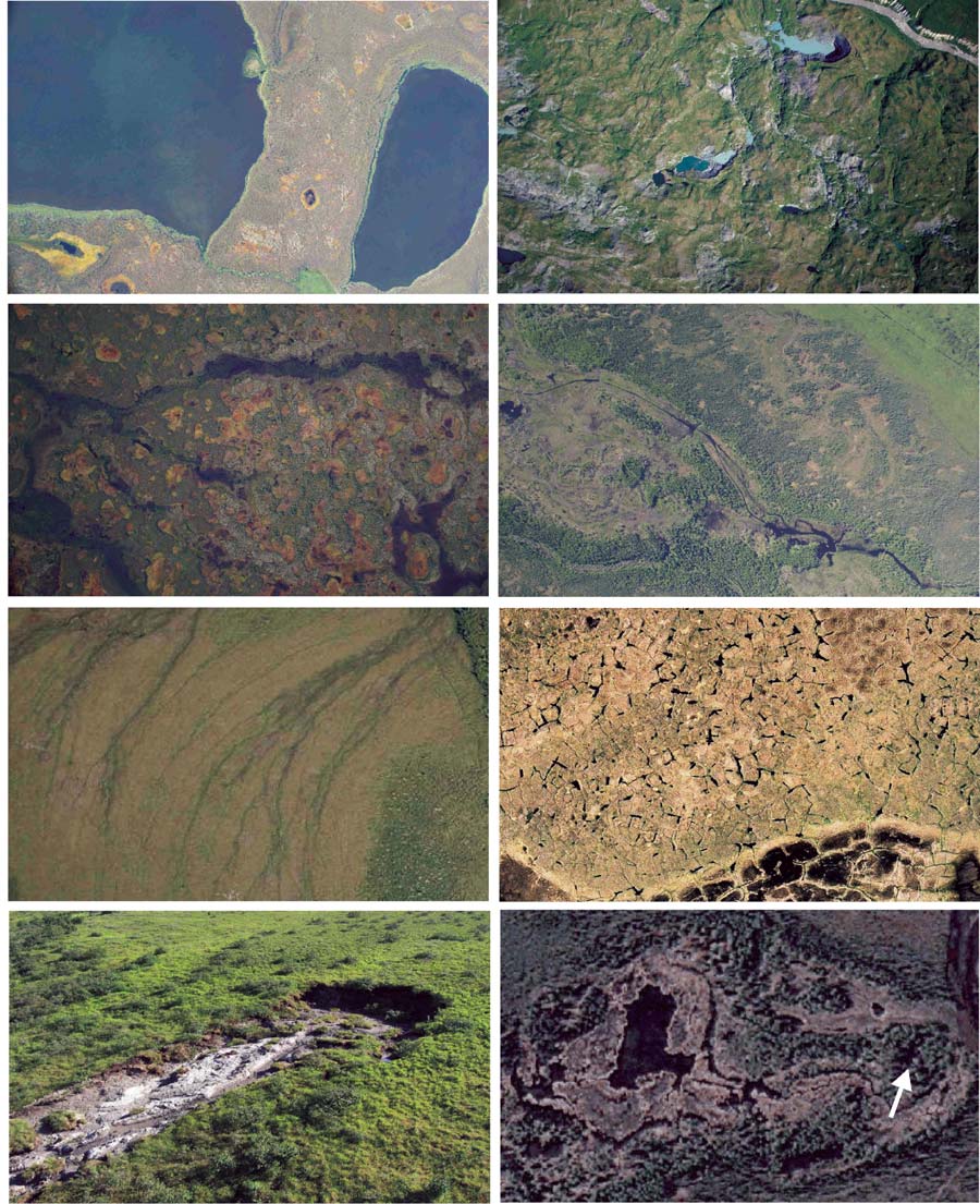 Figure 8 (description follows)