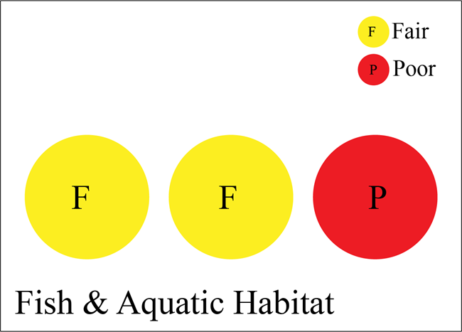 Figure 3 is a simple graphic showing three colored circles representing different indicators of condition. The first two circles are yellow (fair) and the third circle is red (poor).