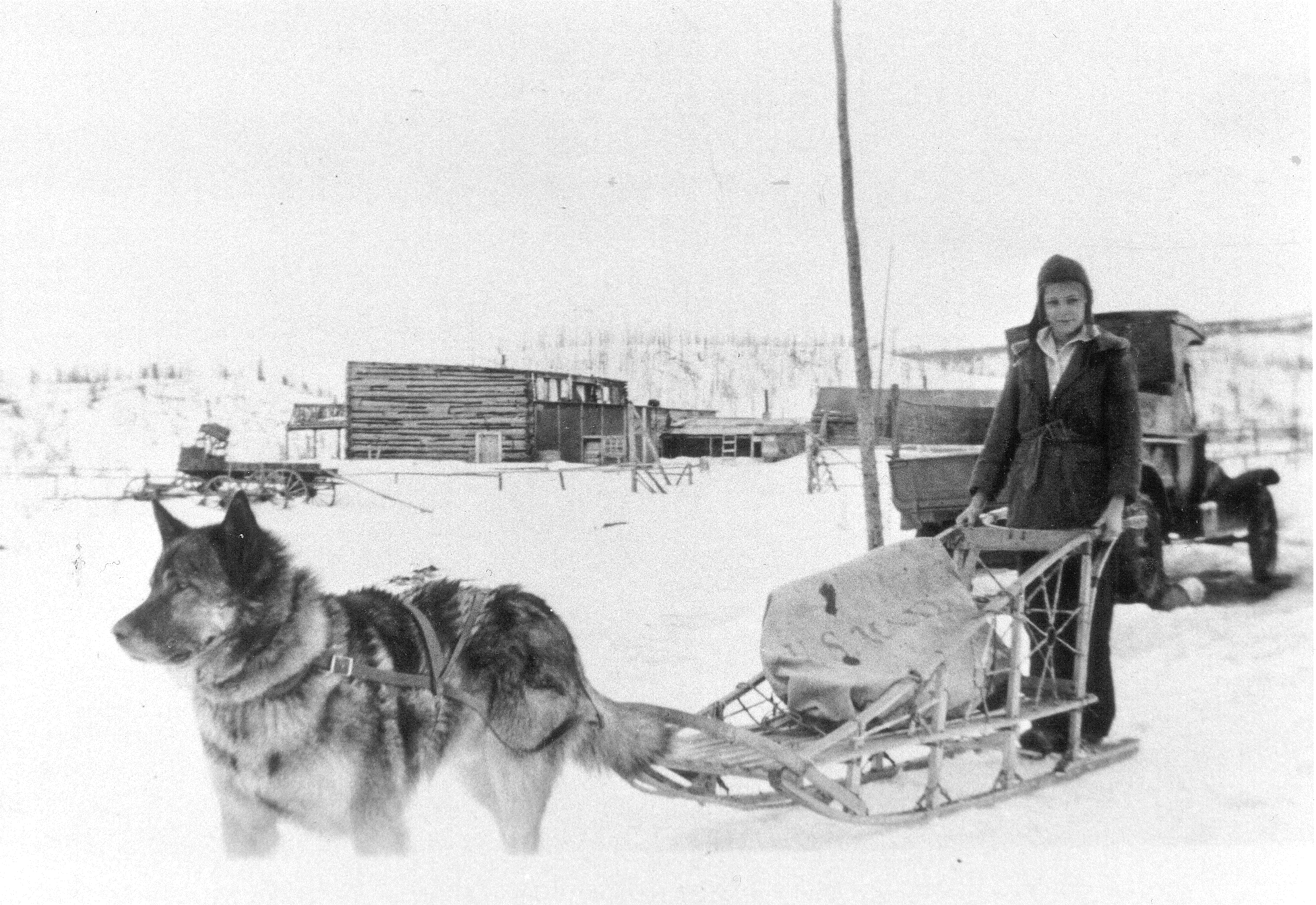 a woman on a sled pulled by a dog
