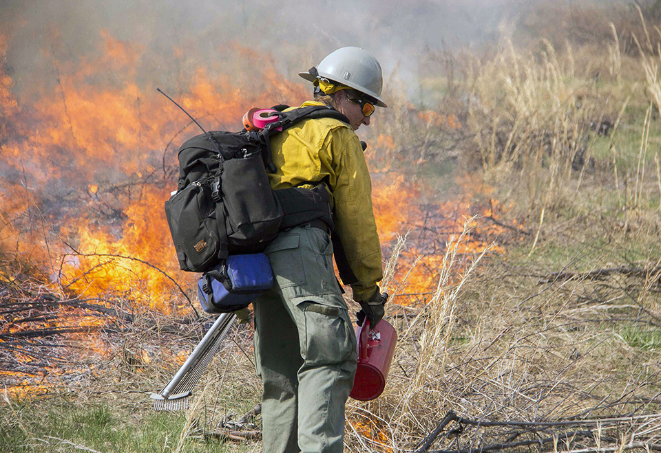 Wildland Fire: Types Of Jobs (U.S. National Park Service)