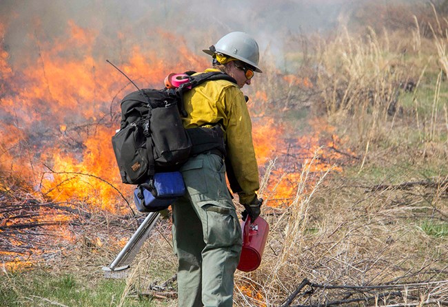 wildland-fire-types-of-jobs-u-s-national-park-service