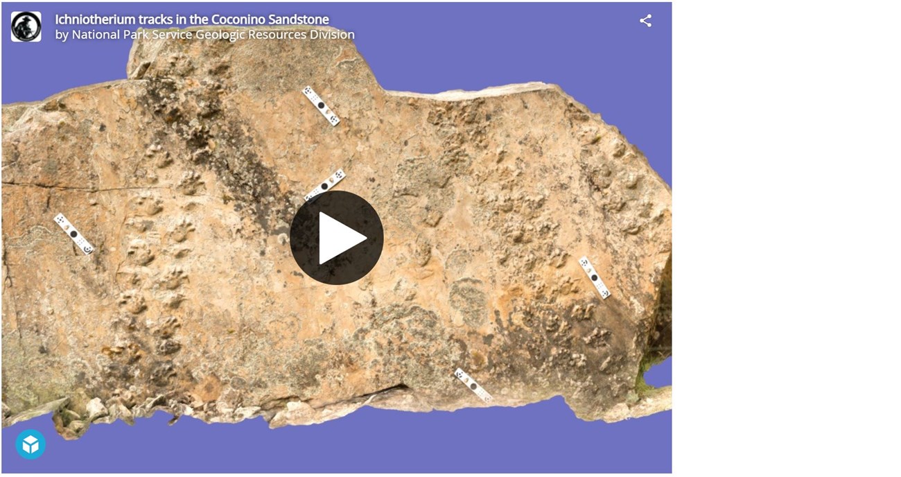 3d model of a large slab of rock with fossils tracks on the surface