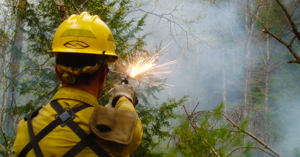 Wildland Fire: What Is A Prescribed Fire? (U.S. National Park Service)