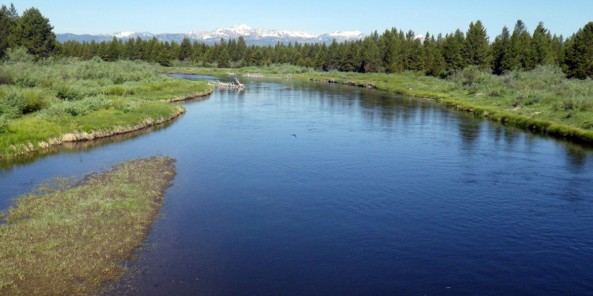 blue river lined with shrubs and trees with snow covered mountains in the distance