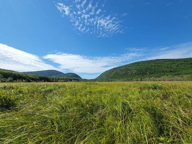 The Meaning of a Meadow (U.S. National Park Service)