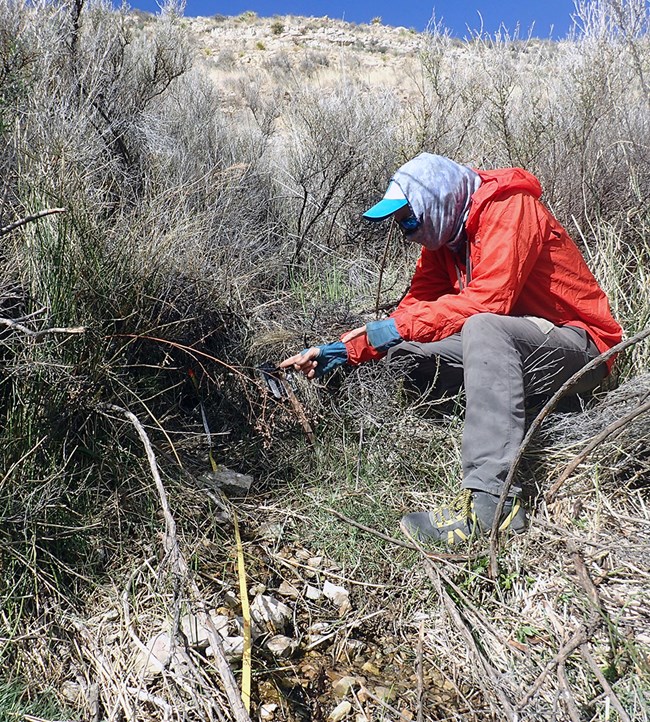 One person crouched near a measuring tape  along a narrow damp area of ground.