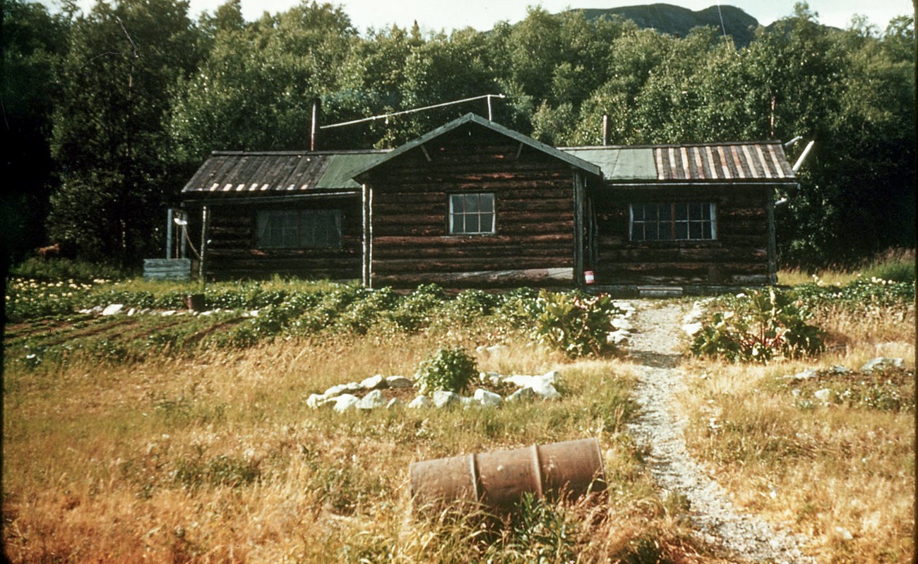 Image of a a dirt path leading to a log cabin surrounded by trees.