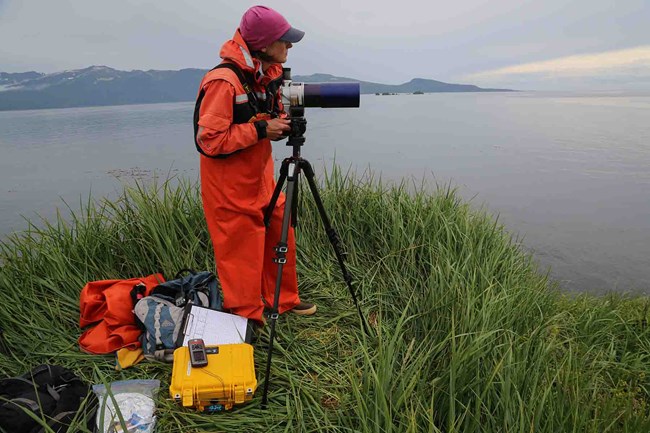 Heather uses a spotting scope to observe sea otter foraging behavior.