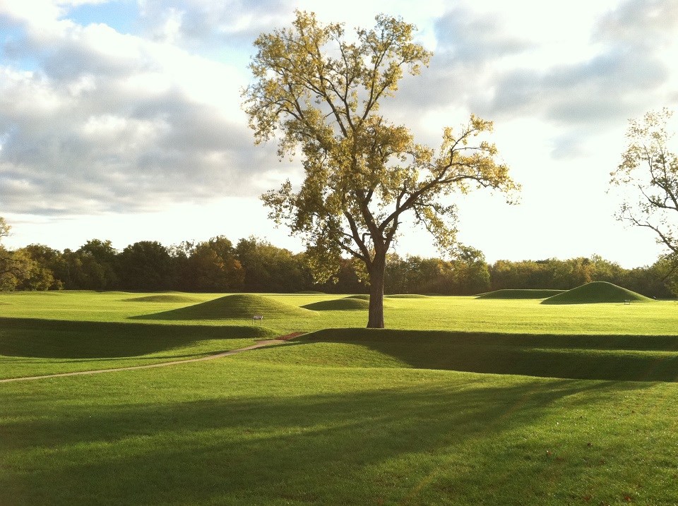 Tree among large earthen mounds at dawn