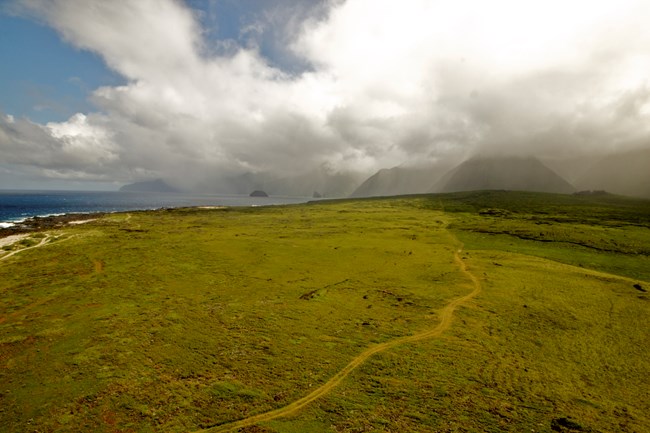 Precipitation in the lush valleys of Kalaupapa National Historical Park is projected to be reduced, affecting ecosystems from the ridges to the ocean.