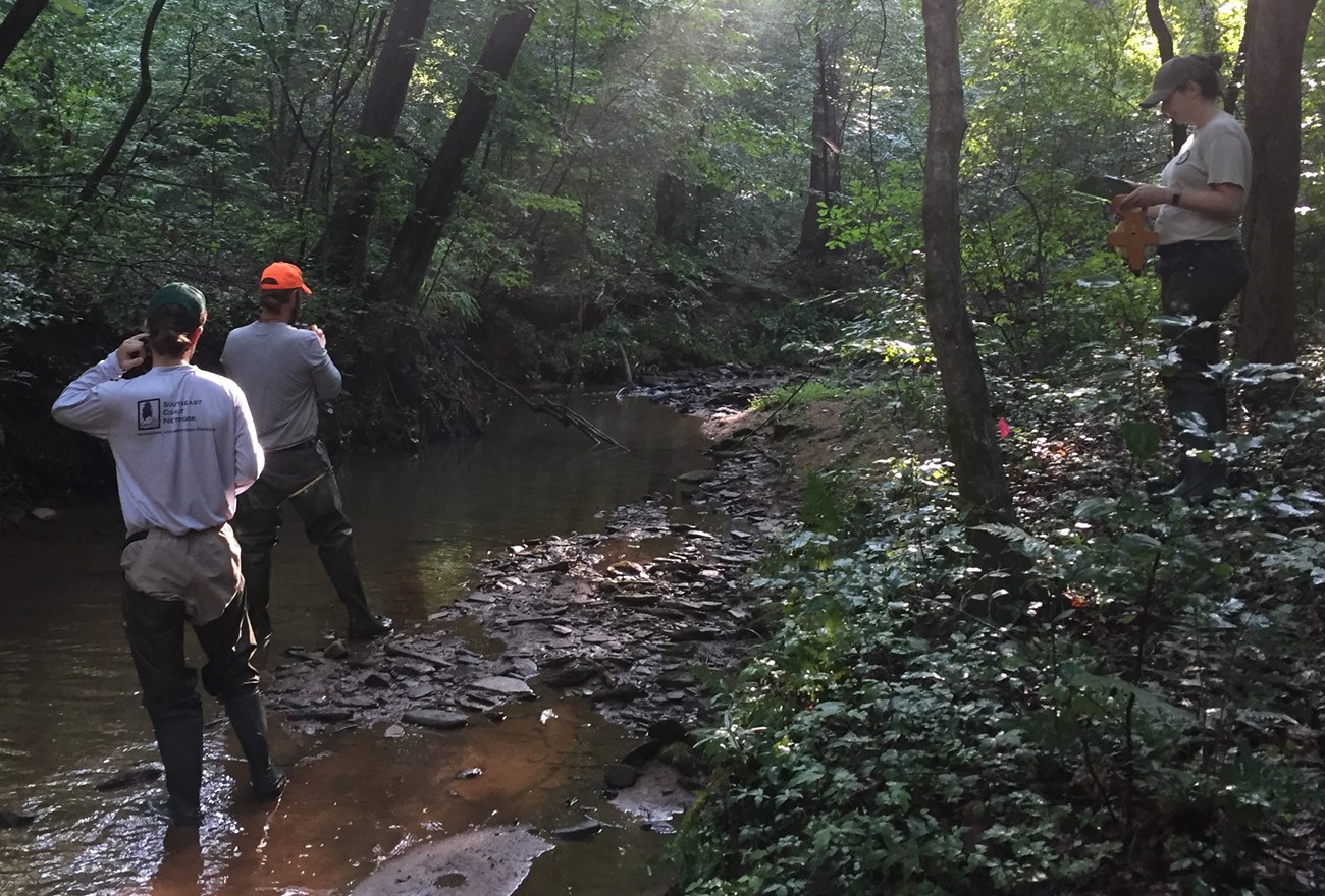 Two people standing in a stream, one person stands on the bank to the right.