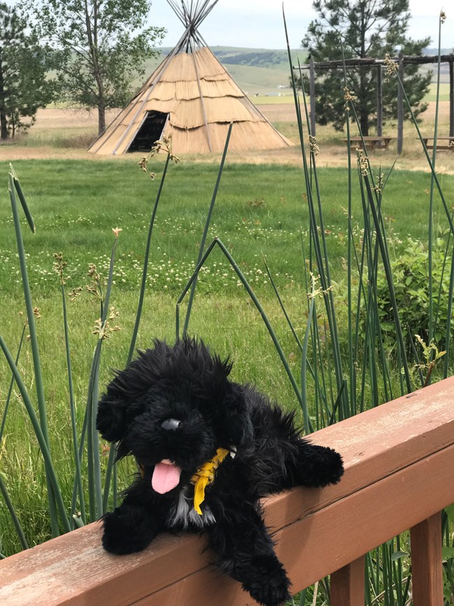 stuffed pup on railing