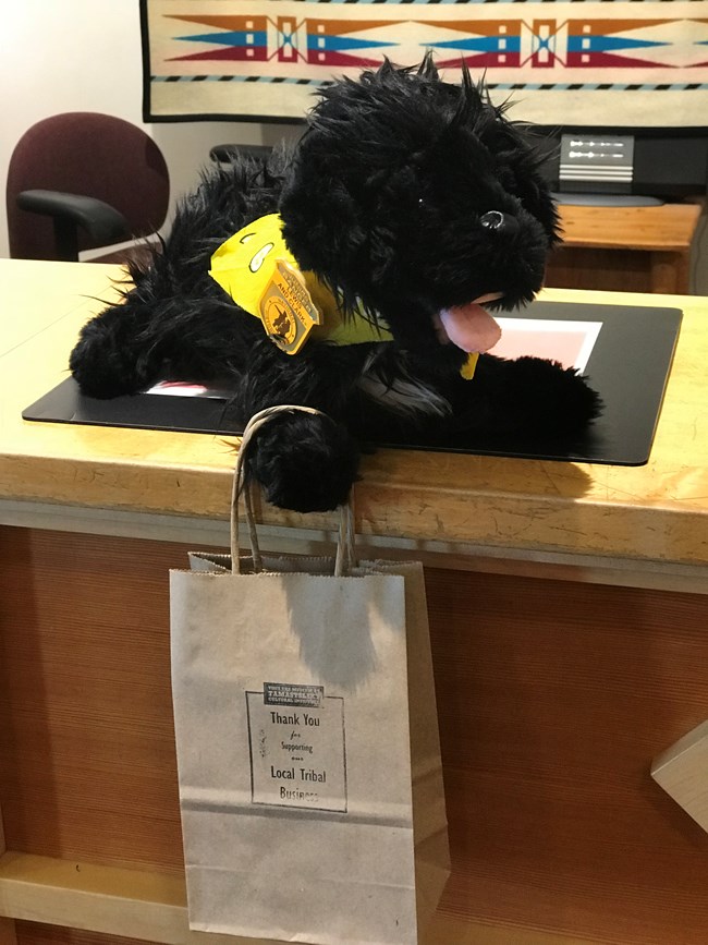 stuffed pup on counter