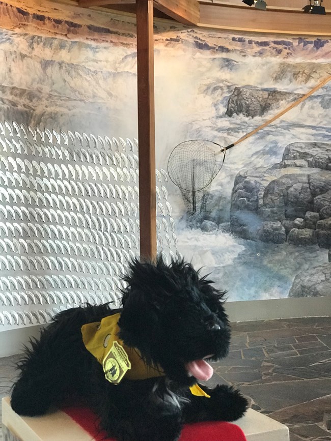 stuffed pup near mural of waterfall