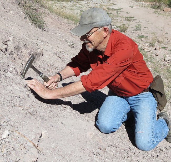 Dr. David Elliott in the field collecting fossils