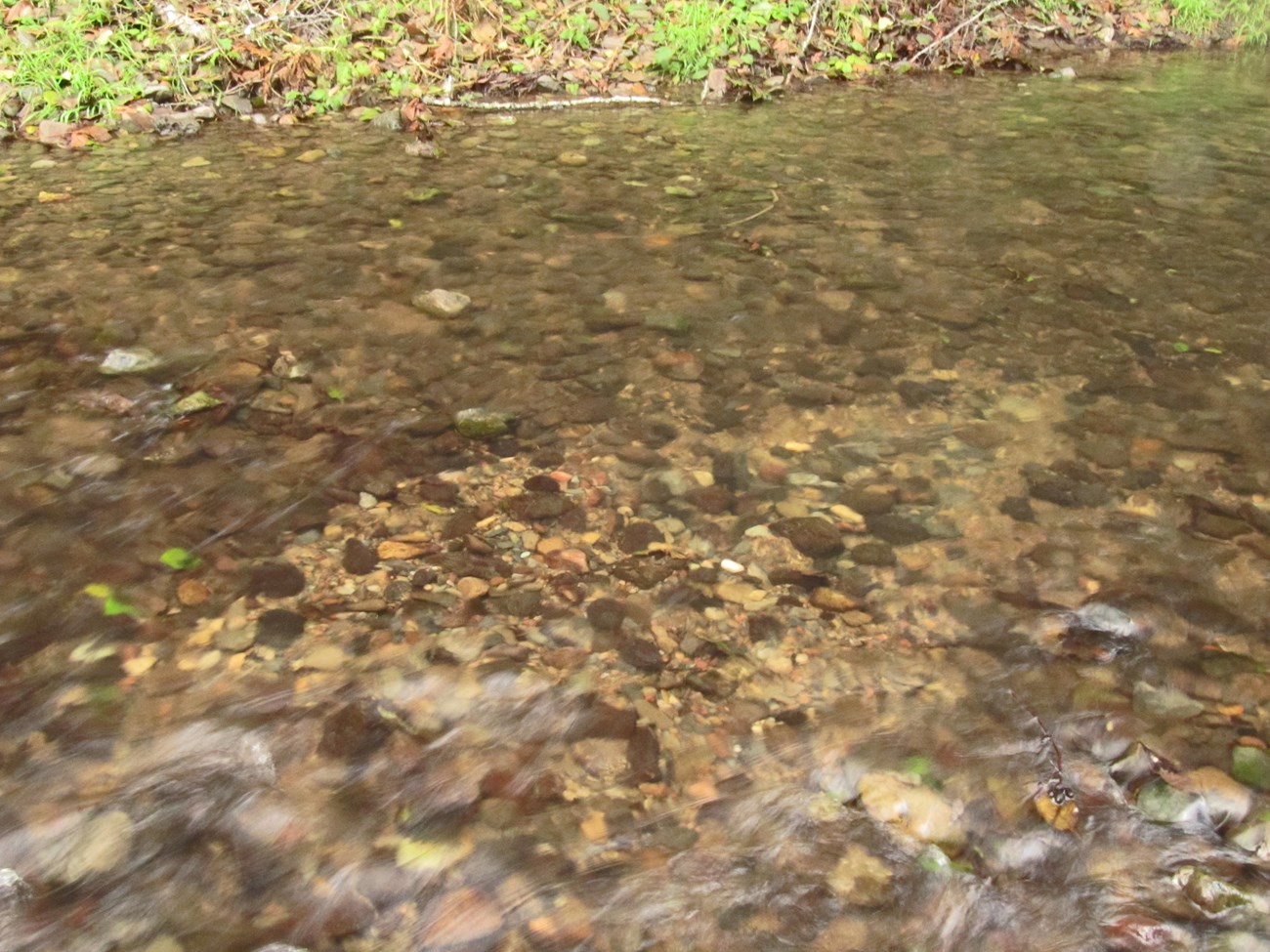 Streambed with a shallow, lighter-colored depression in the gravel