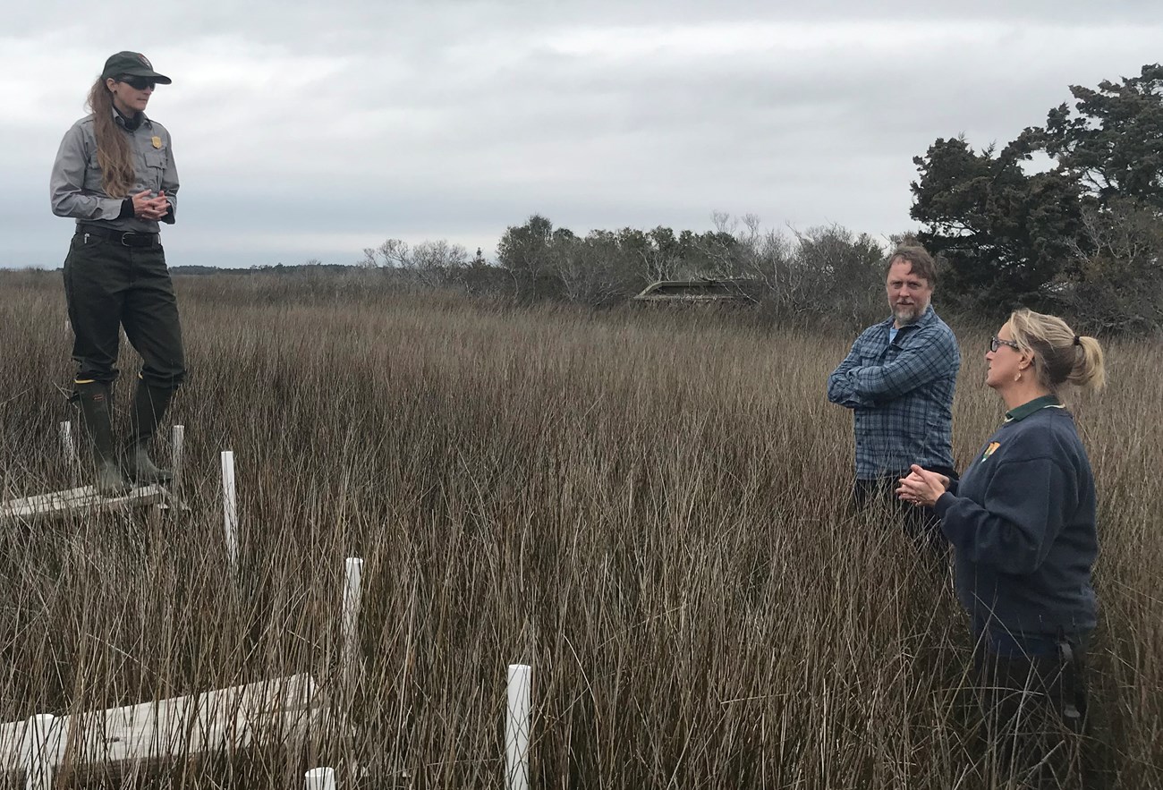 Woman stands on platform in salt marsh talking to two people on the ground.