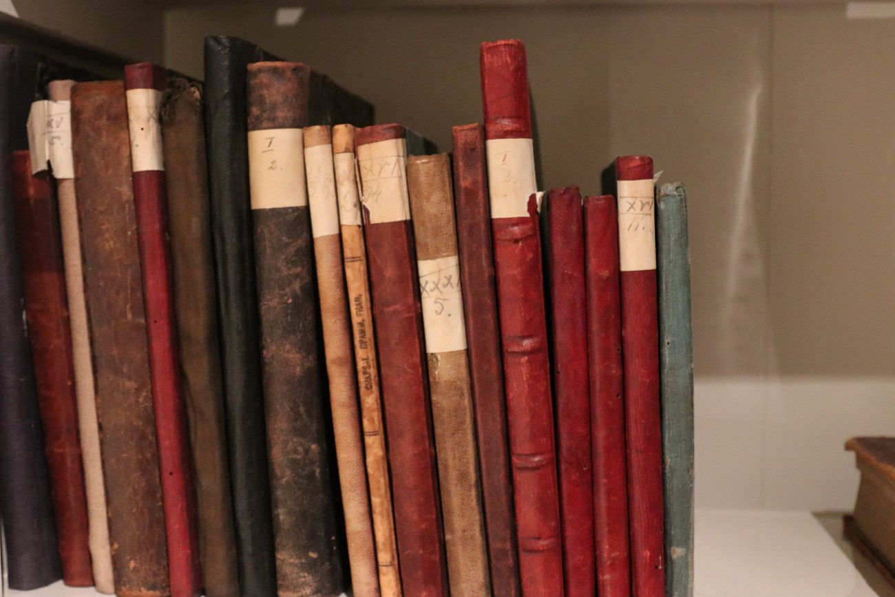 Books stacked on a shelf
