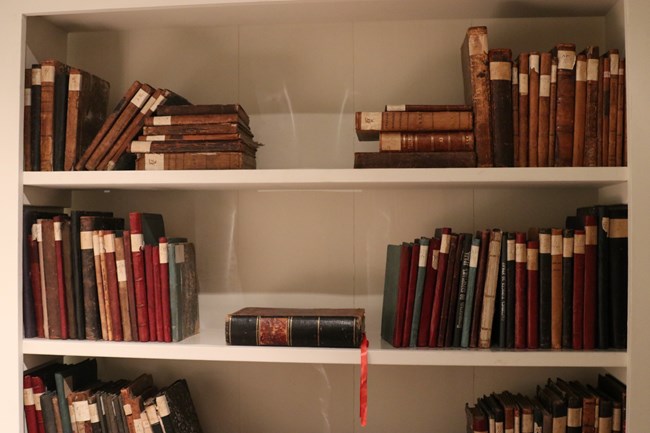 Books stacked on a shelf