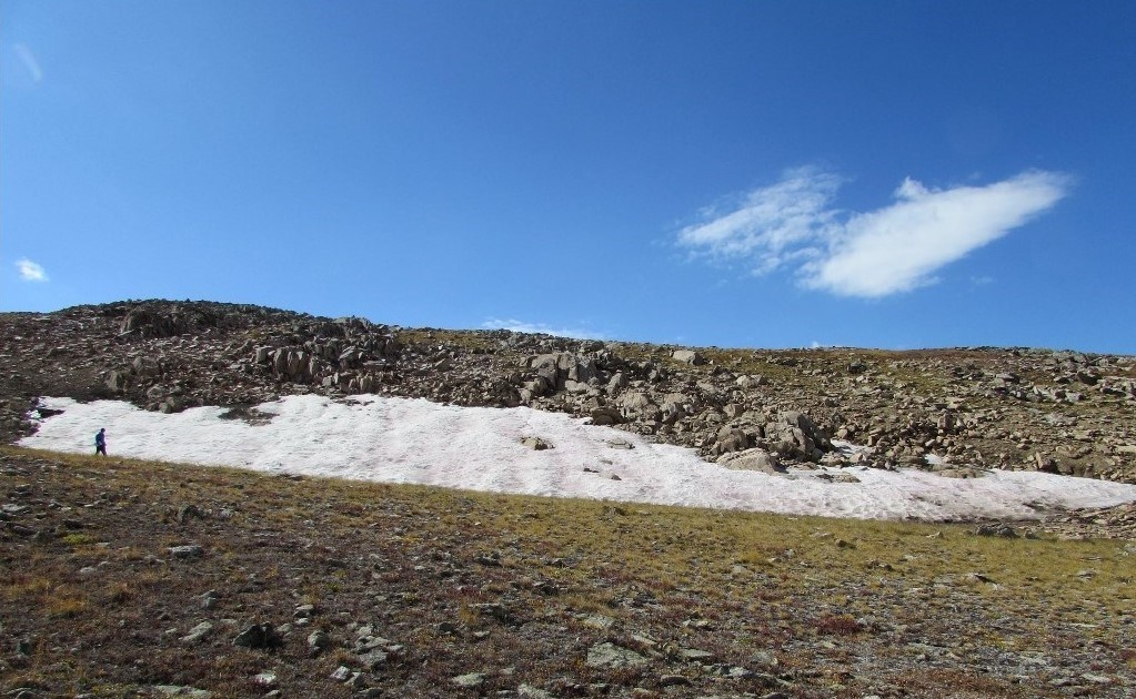 A large ice patch located within alpine tundra. A researcher can be seen walking near the left corner of the ice patch.