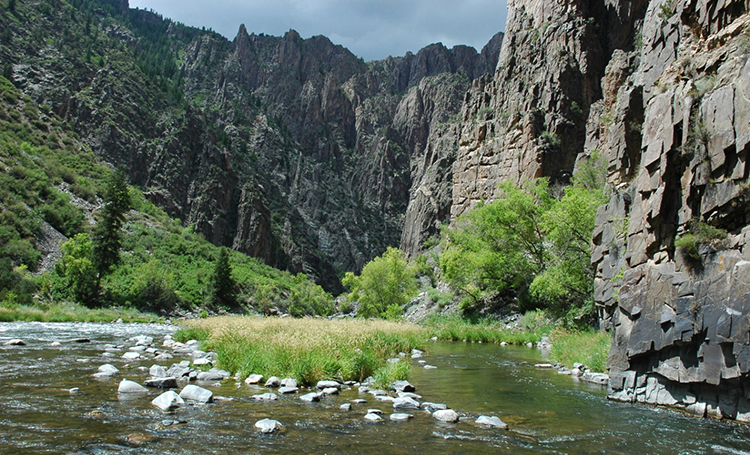 River flowing between steep canyon walls with grasses and green vegetation along the bank.