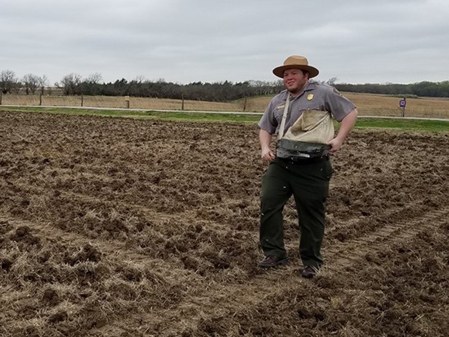 Ranger walks in tilled field spreading seed with a vintage hand cranked seed spreader.