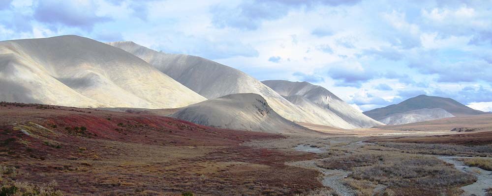 Fall in the Kobuk Valley tundra.