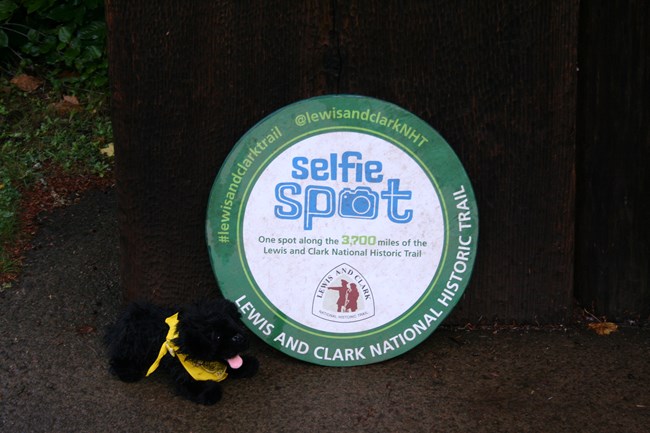 toy dog on Lewis and Clark Trail sticker
