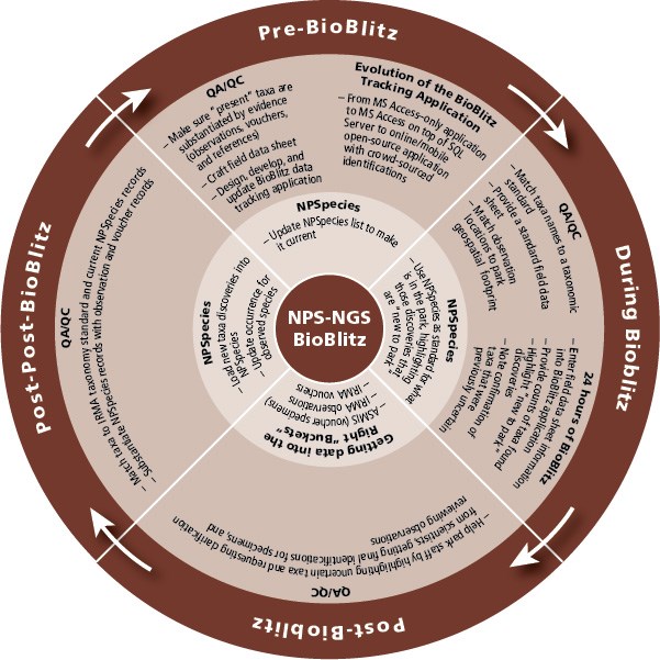 A graphic of the data management life cycle including all the different steps in documentation.