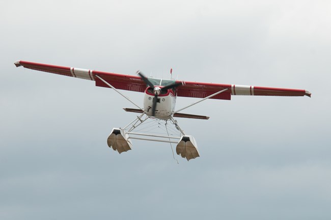 A front view of a red and white Cessna 185 aircraft on floats
