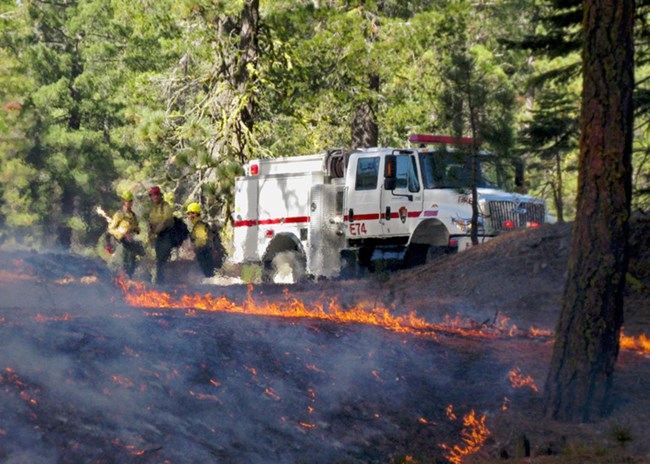 Firefighters and a fire engine near a fireline.