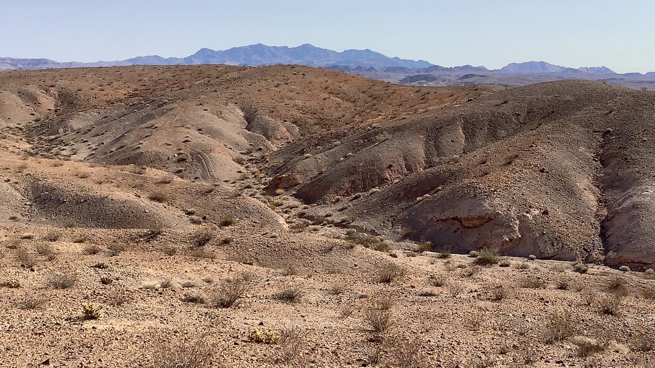A landscape view of Lake Mead’s brown, desert-like terrain with mountains in the distance.