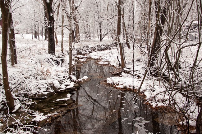 Photo of a small creek surrounded by snow and bare trees