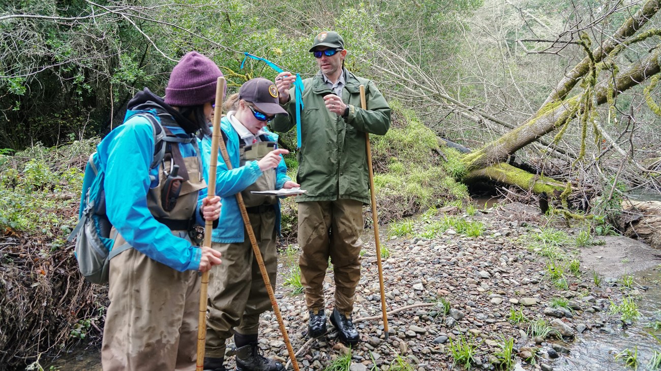 Biologist tying a colored ribbon to a branch beside a creek as other survey team members look at a data sheet