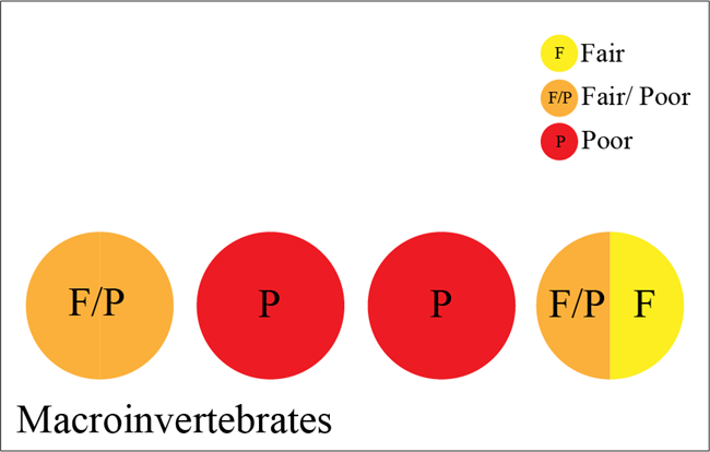 Figure 2 is a simple graphic showing four colored circles representing different indicators of condition. Two of the circles are red (poor), one is orange (fair/poor), and one is half orange and half yellow (fair/poor and fair, respectively).