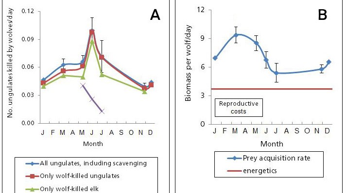 Figure showing feeding ecology rates over time.