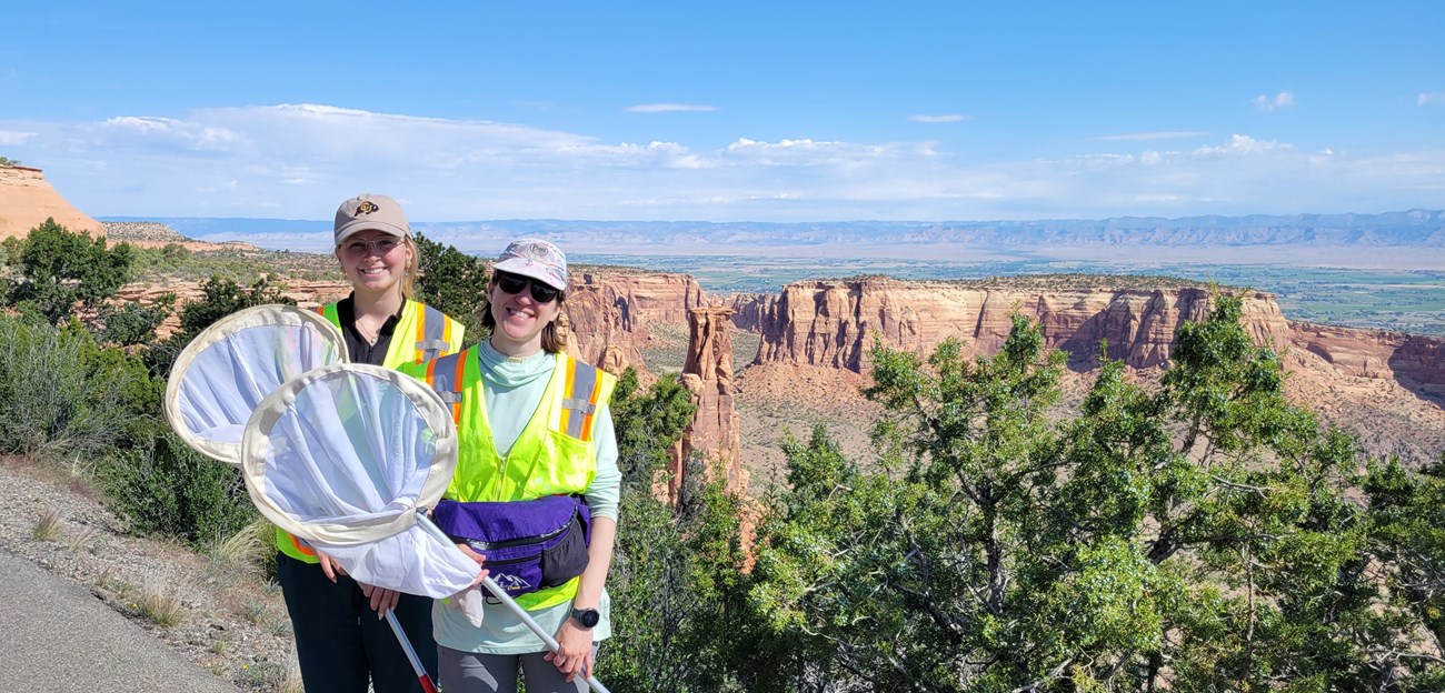 Two people wearing reflective vests holding insect nets with a canyon view in the background.