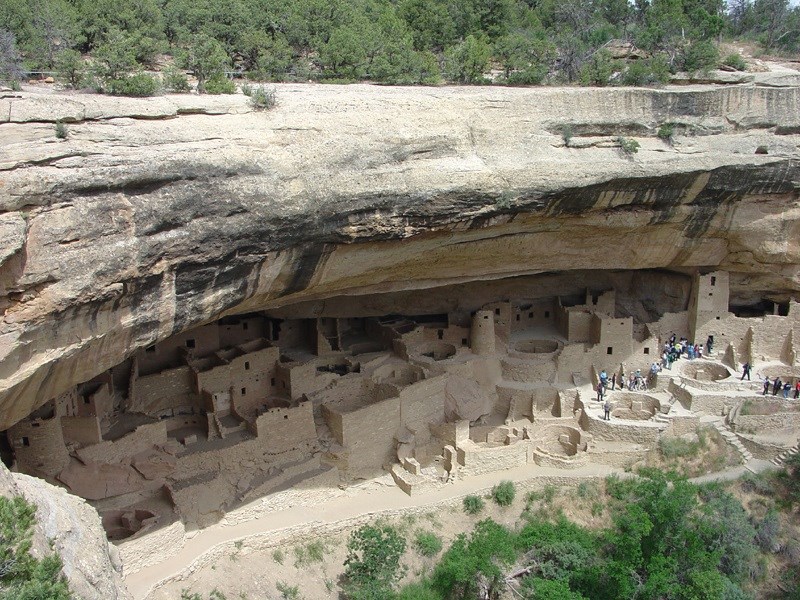 A view of the Cliff Palace, an ancient cliff dwelling with many rooms and circular kivas, from above.