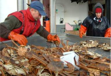 two people sort crabs on a fishing boat deck