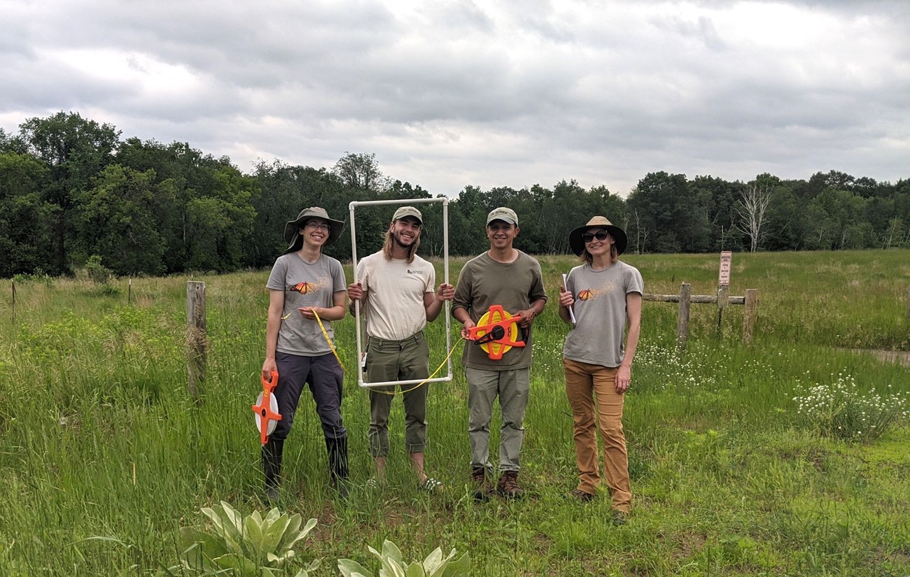 Four people standing in a field holding fieldwork supplies (tape measures, a quadrat, a journal).